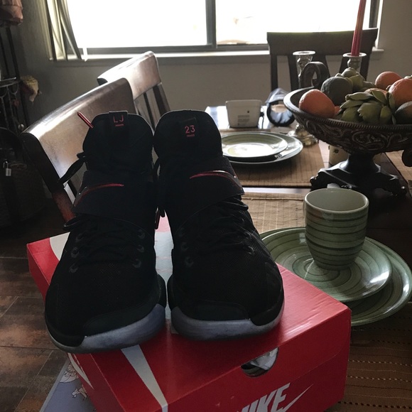 Lebron 14’s Bred - Picture 2 of 4